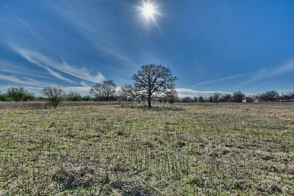 Newsom Road Bellville, TX 77418