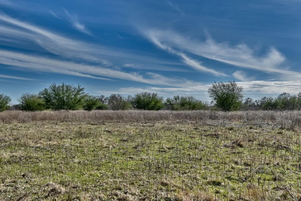 Newsom Road Bellville, TX 77418