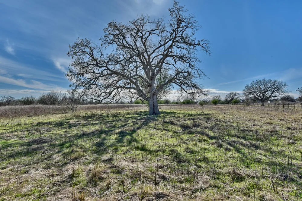 Newsom Road Bellville, TX 77418
