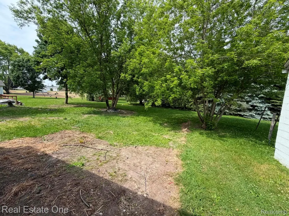 3585 Marcus Street Deckerville Village, MI 48427