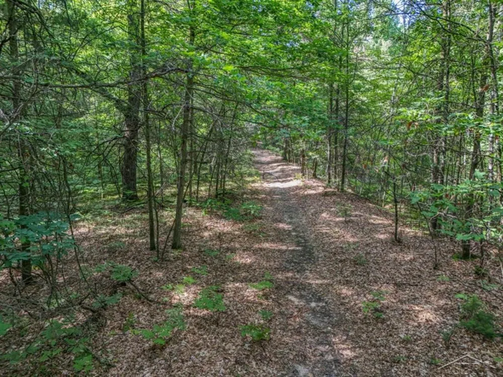 457 E Mier Road Lincoln Township, MI 48657