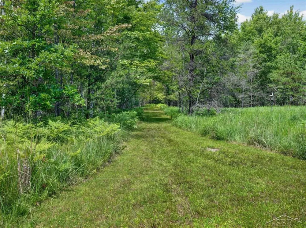 457 E Mier Road Lincoln Township, MI 48657