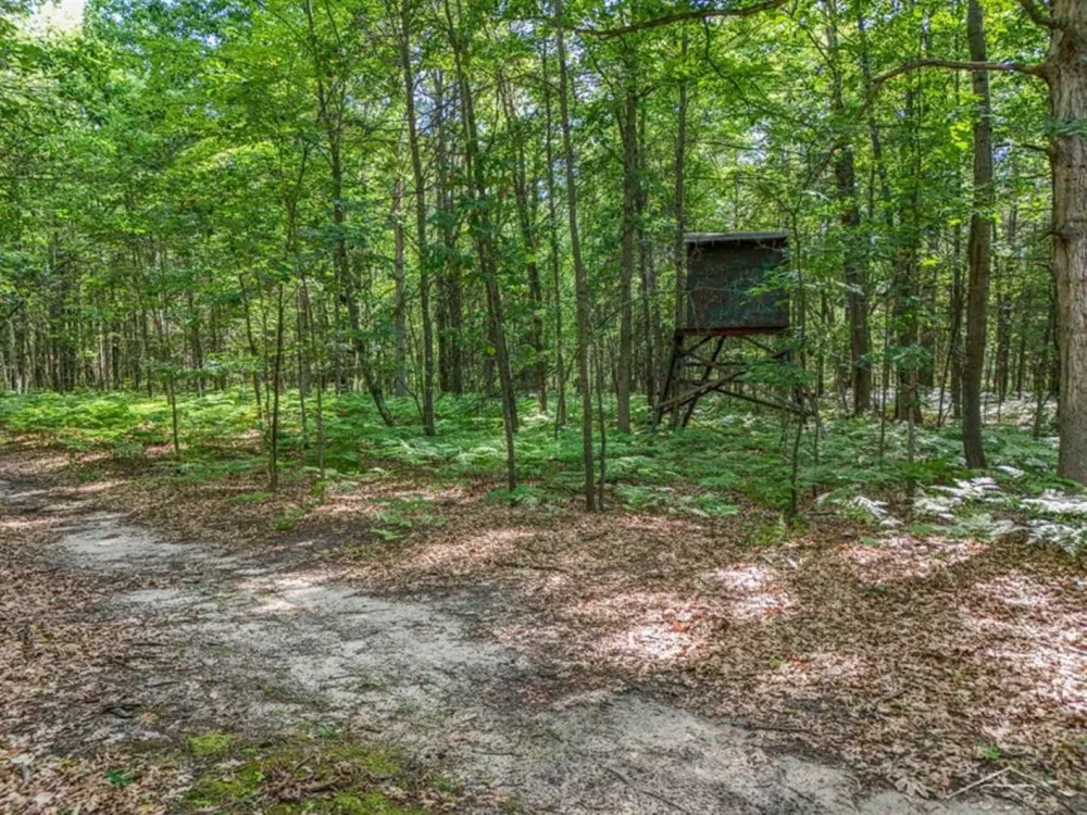 457 E Mier Road Lincoln Township, MI 48657