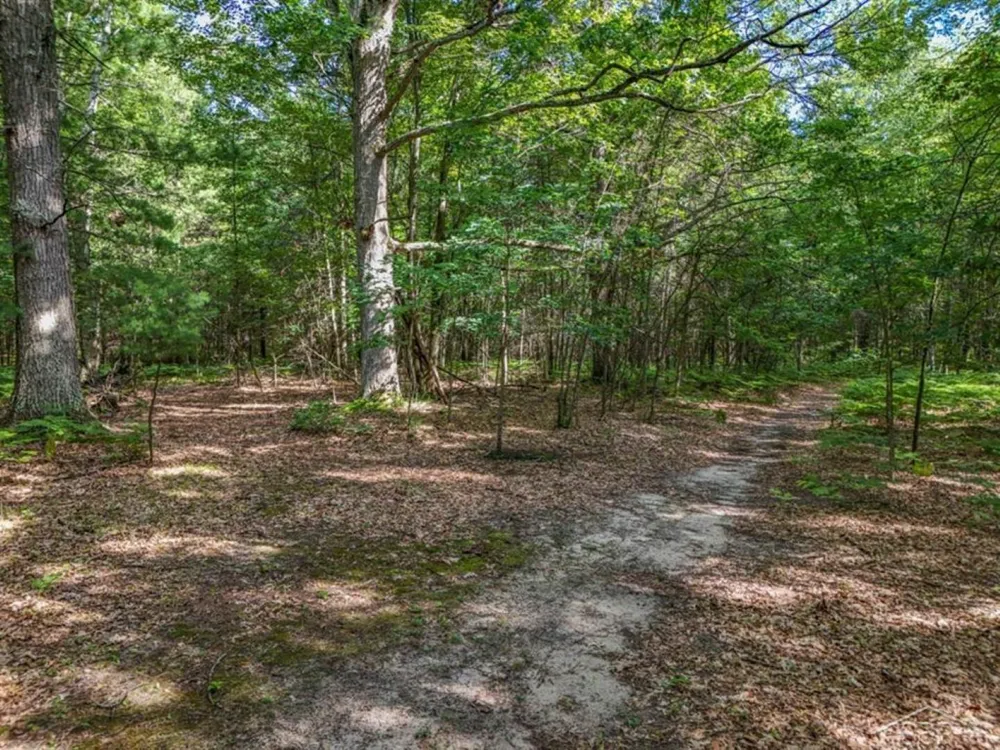457 E Mier Road Lincoln Township, MI 48657
