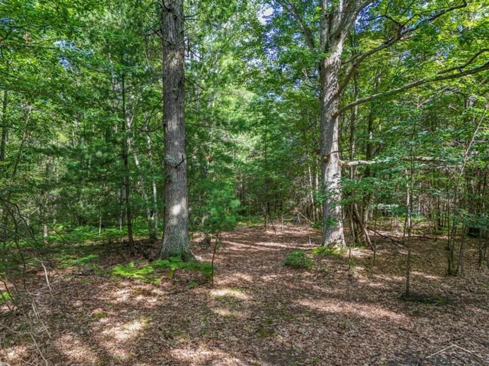 457 E Mier Road Lincoln Township, MI 48657