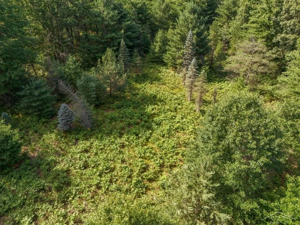 457 E Mier Road Lincoln Township, MI 48657