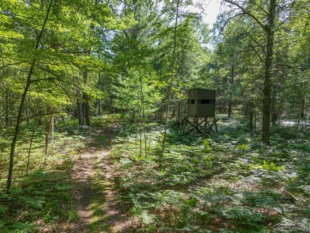 457 E Mier Road Lincoln Township, MI 48657