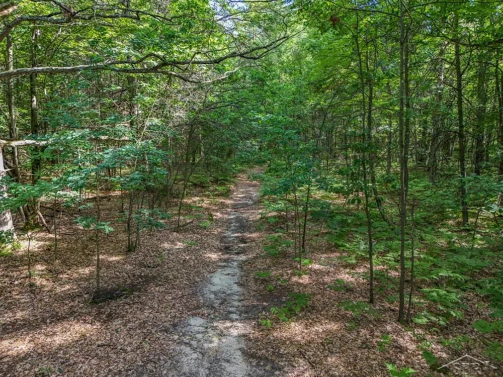 457 E Mier Road Lincoln Township, MI 48657