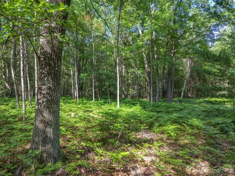 457 E Mier Road Lincoln Township, MI 48657