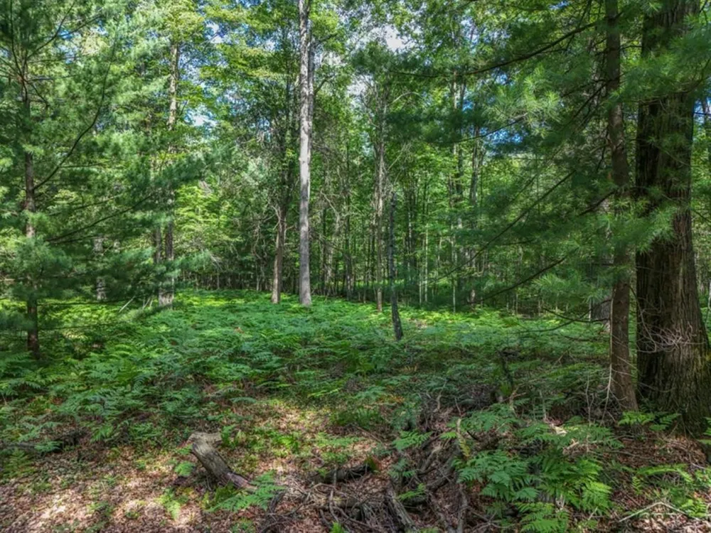 457 E Mier Road Lincoln Township, MI 48657