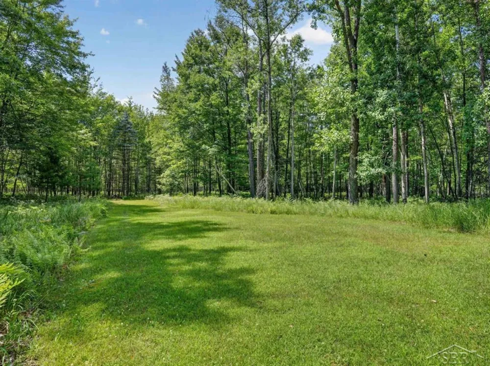 457 E Mier Road Lincoln Township, MI 48657