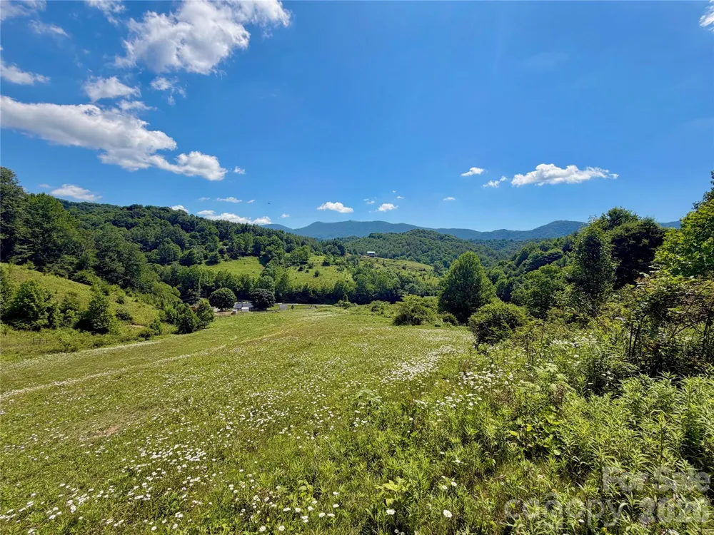 419 Fletcher Branch Road Vilas, NC 28692