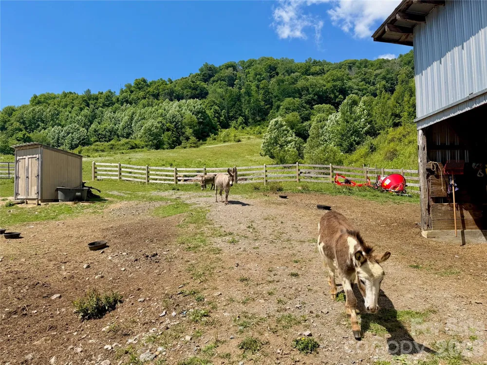 419 Fletcher Branch Road Vilas, NC 28692