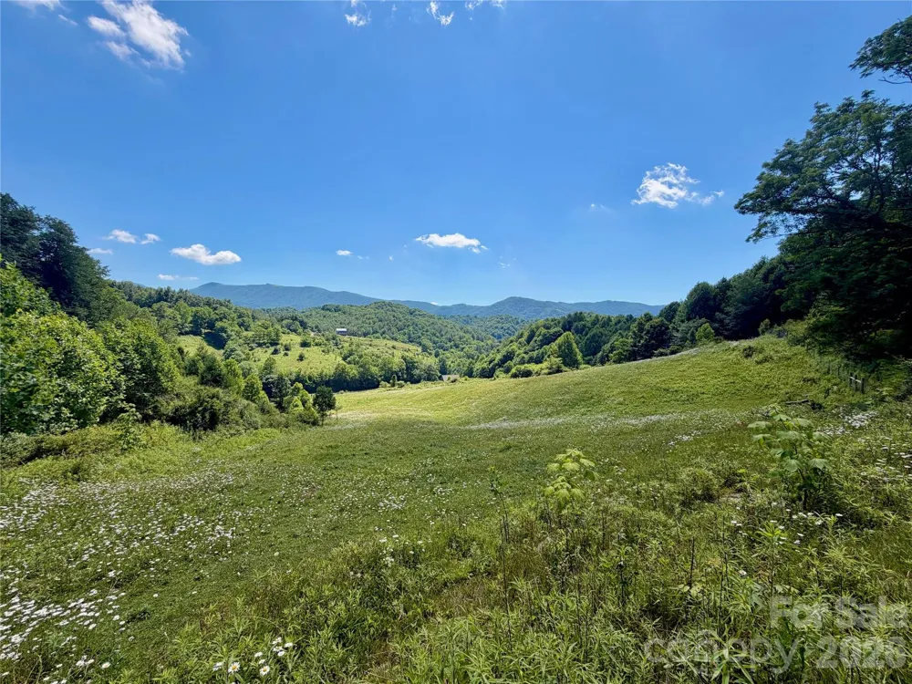 419 Fletcher Branch Road Vilas, NC 28692