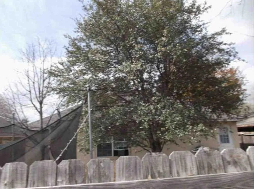 9606 Wikieup Street San Antonio, TX 78211
