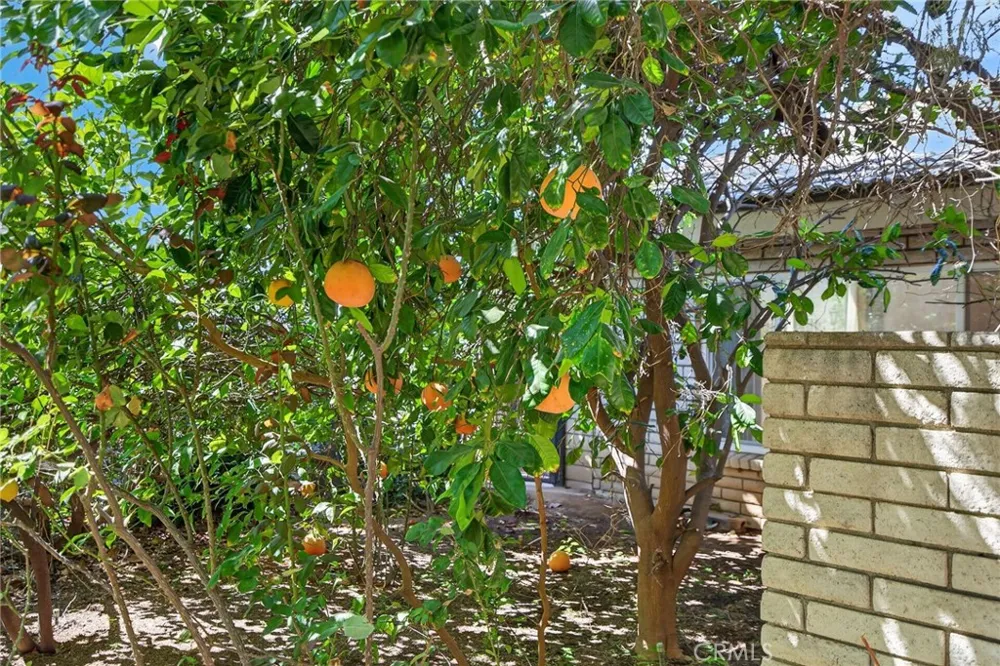 5462 Sierra Vista Riverside, CA 92505