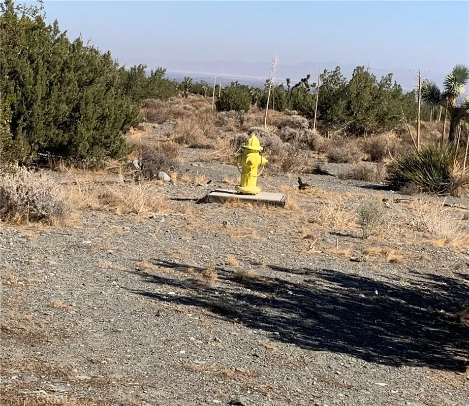 Yucca Terrace Pinon Hills, CA 92372