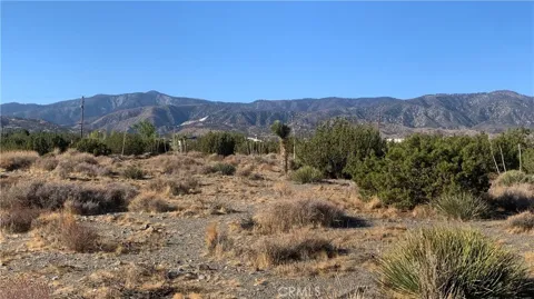 Yucca Terrace