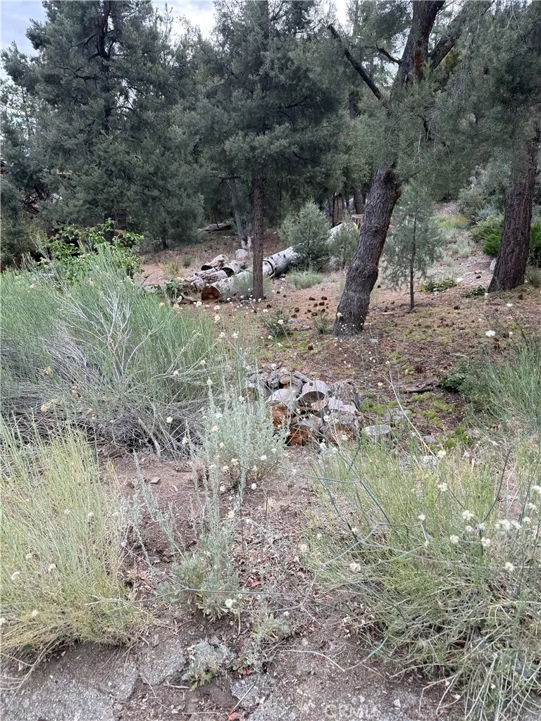 1620 Zion Pine Mountain Club, CA 93222