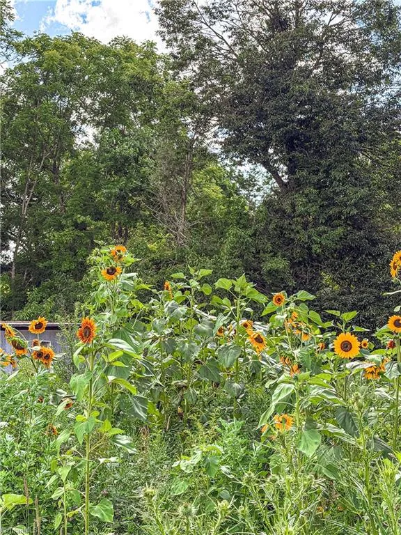 808 Piney Creek School Road Piney Creek, NC 28663