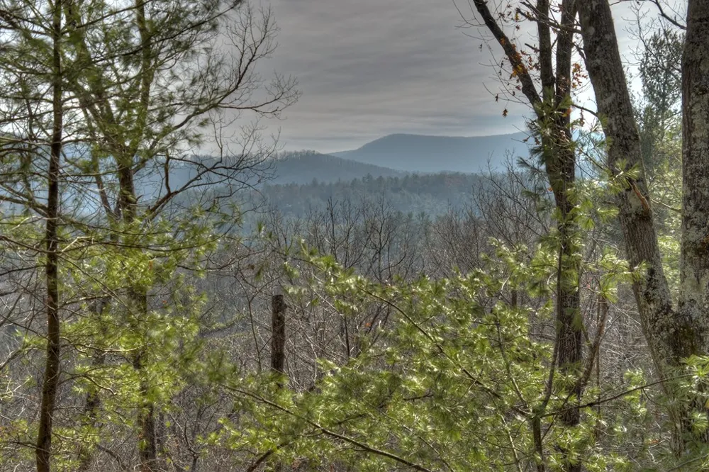 133 Rocky Road Cherry Log, GA 30522