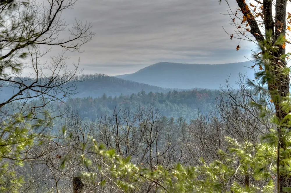 133 Rocky Road Cherry Log, GA 30522