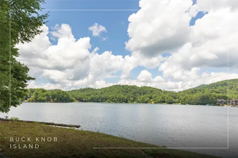 Lot 8 Buck Knob Island