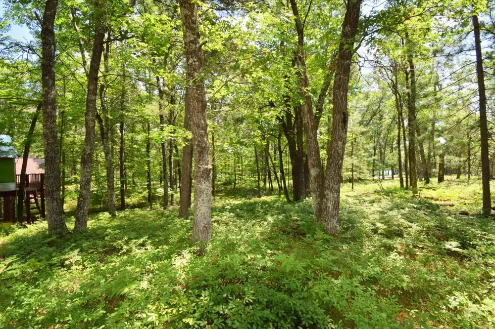 29774 Little Bear Drive Danbury, WI 54830