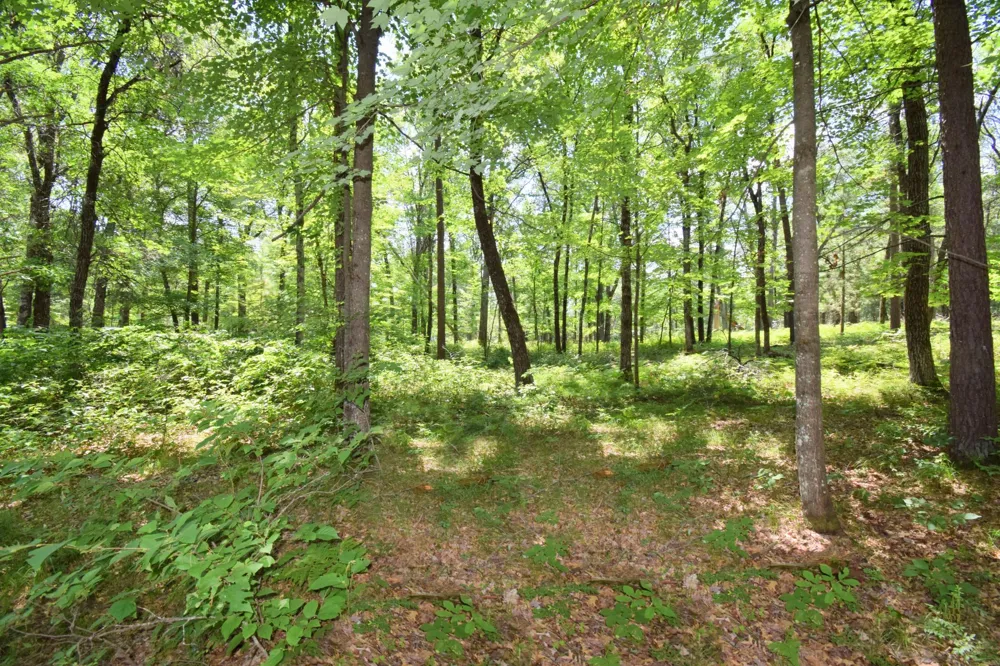29774 Little Bear Drive Danbury, WI 54830