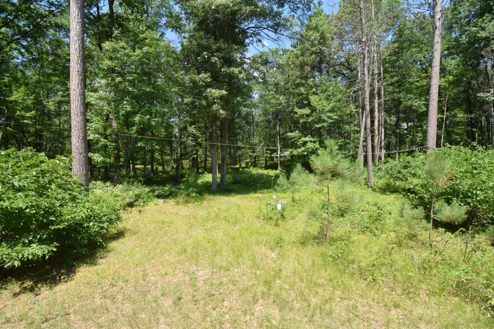 29774 Little Bear Drive Danbury, WI 54830