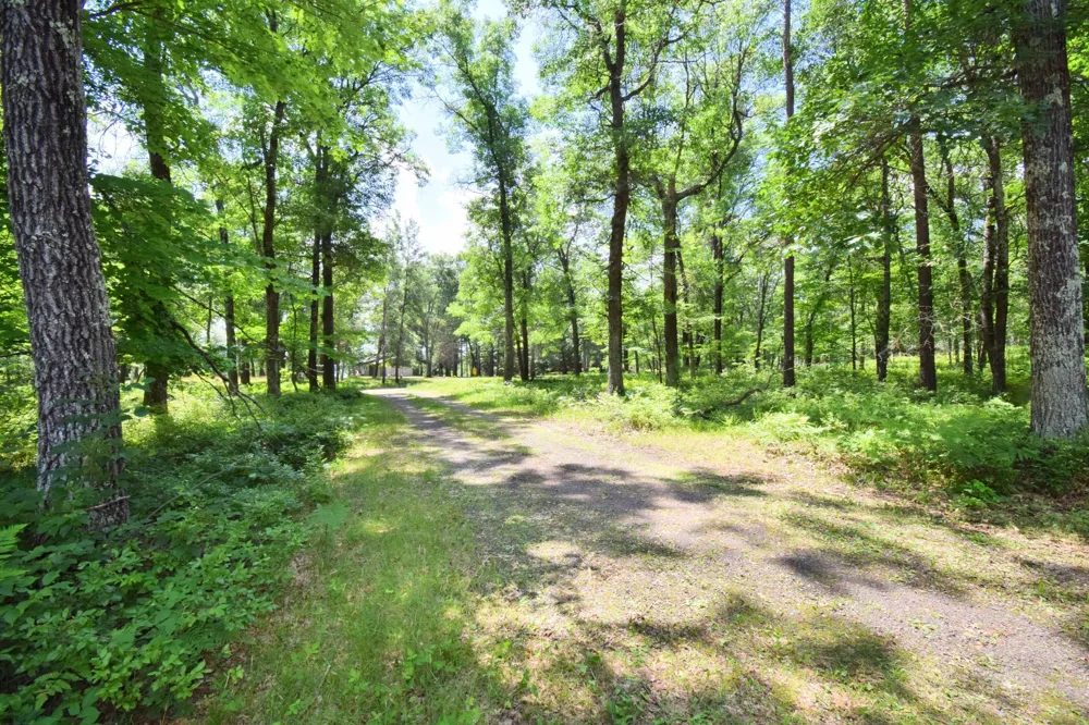 29774 Little Bear Drive Danbury, WI 54830