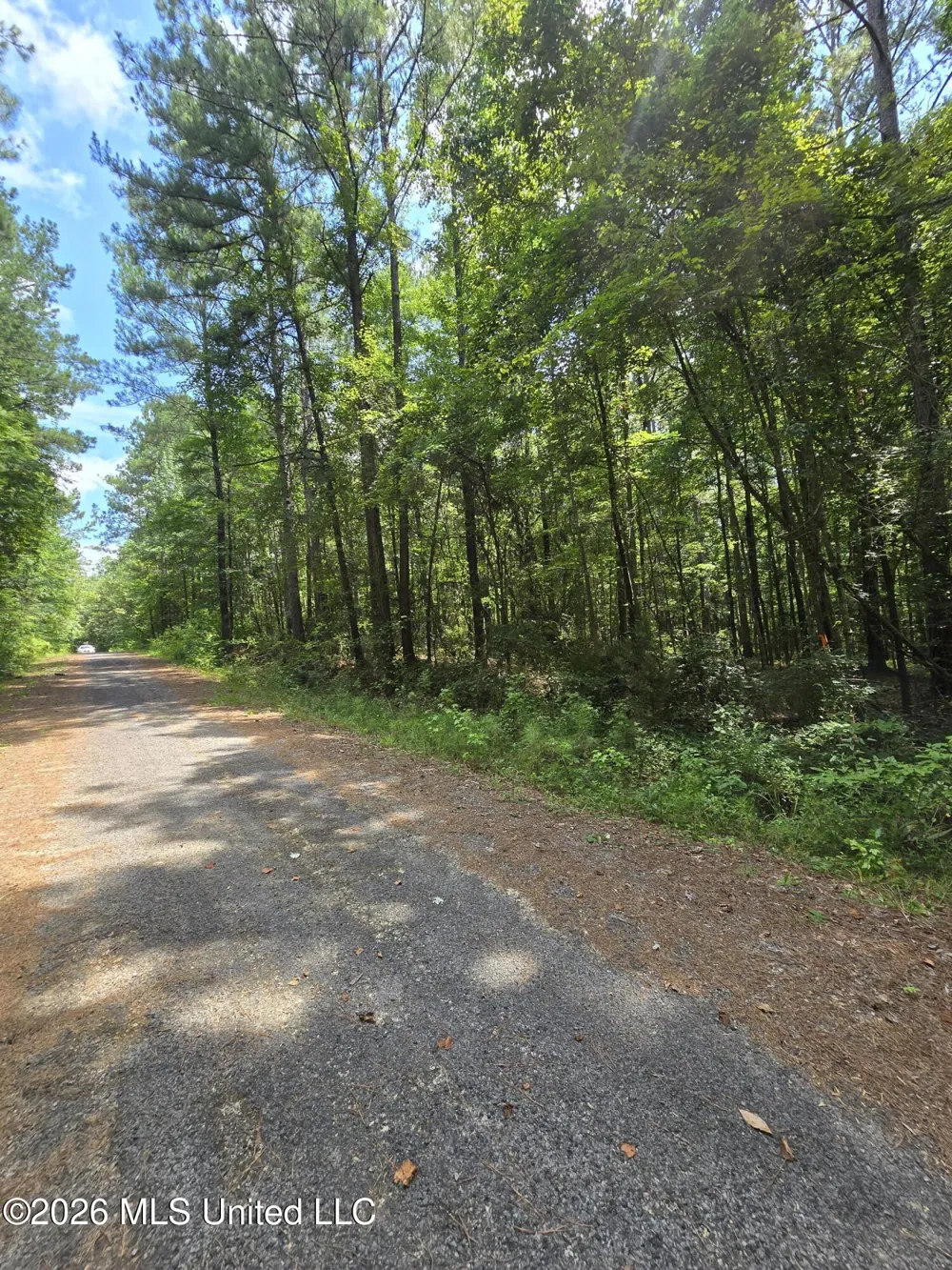 Scott Street Brandon, MS 39042