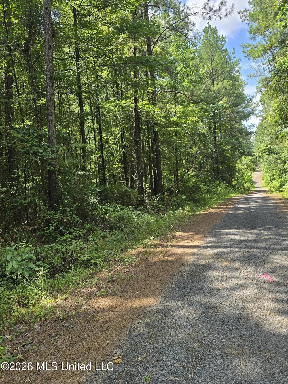 Scott Street Brandon, MS 39042