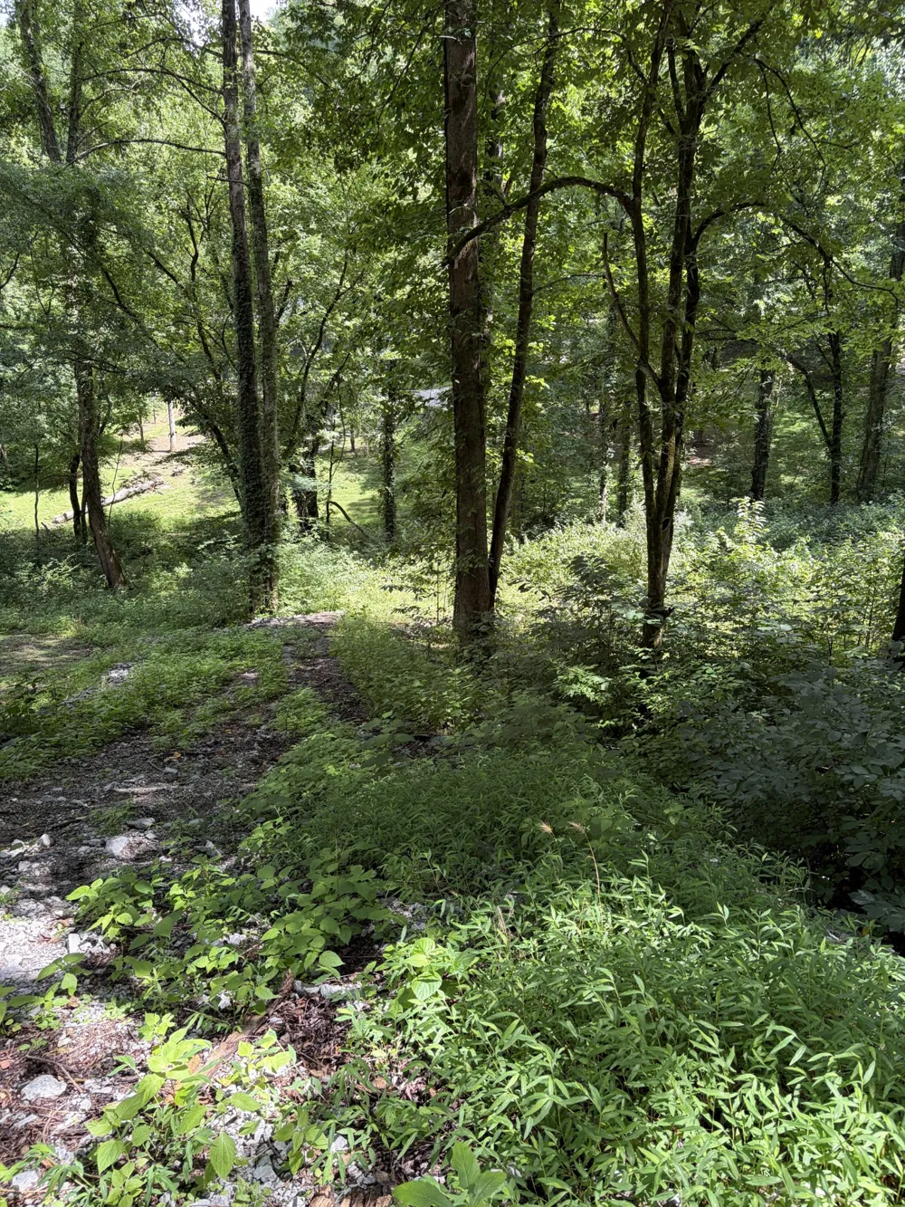 0 Harbor Dr Lancaster, TN 38569