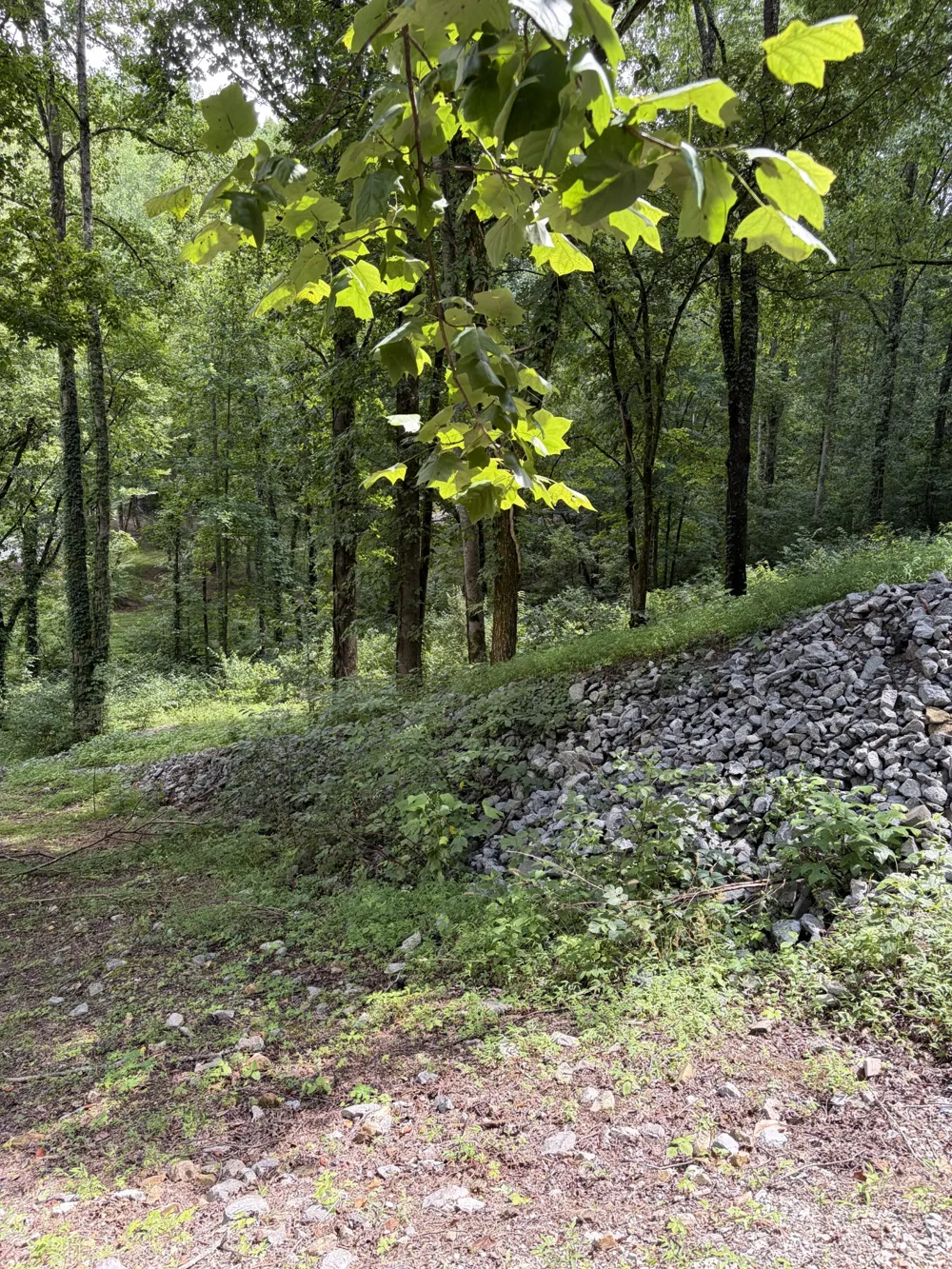 0 Harbor Dr Lancaster, TN 38569