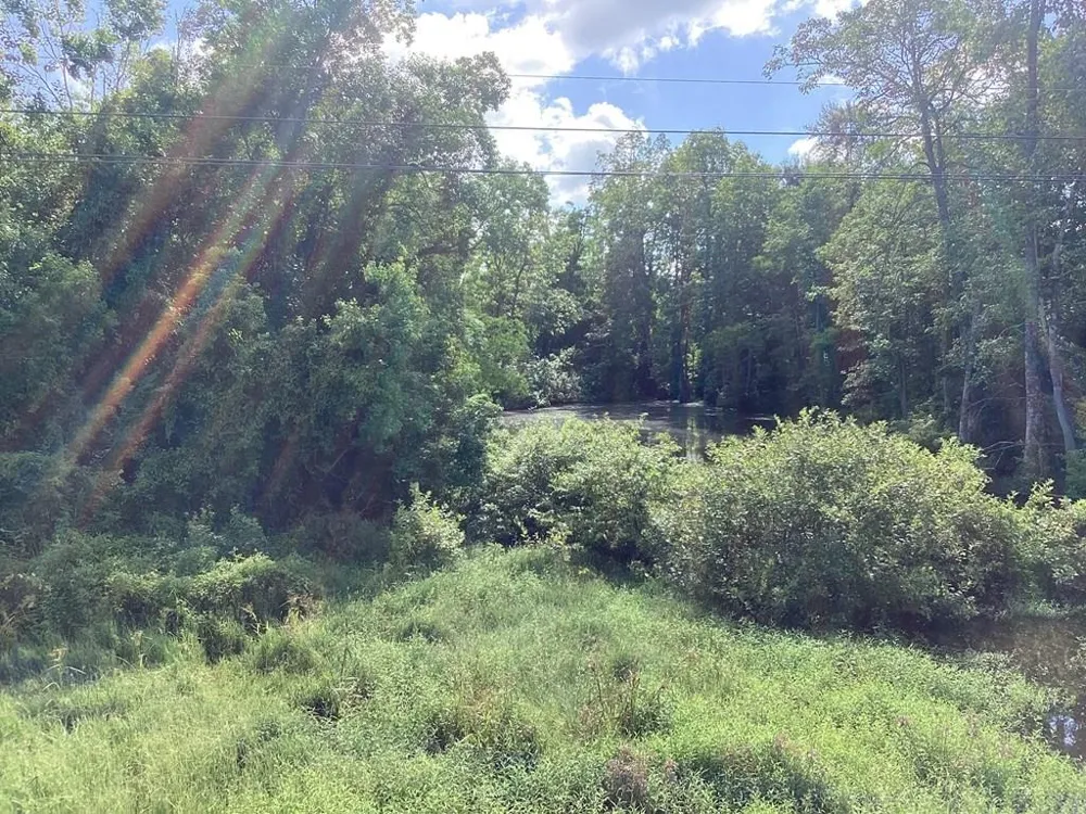 1900 E E Hwy 190 Newton, TX 75966