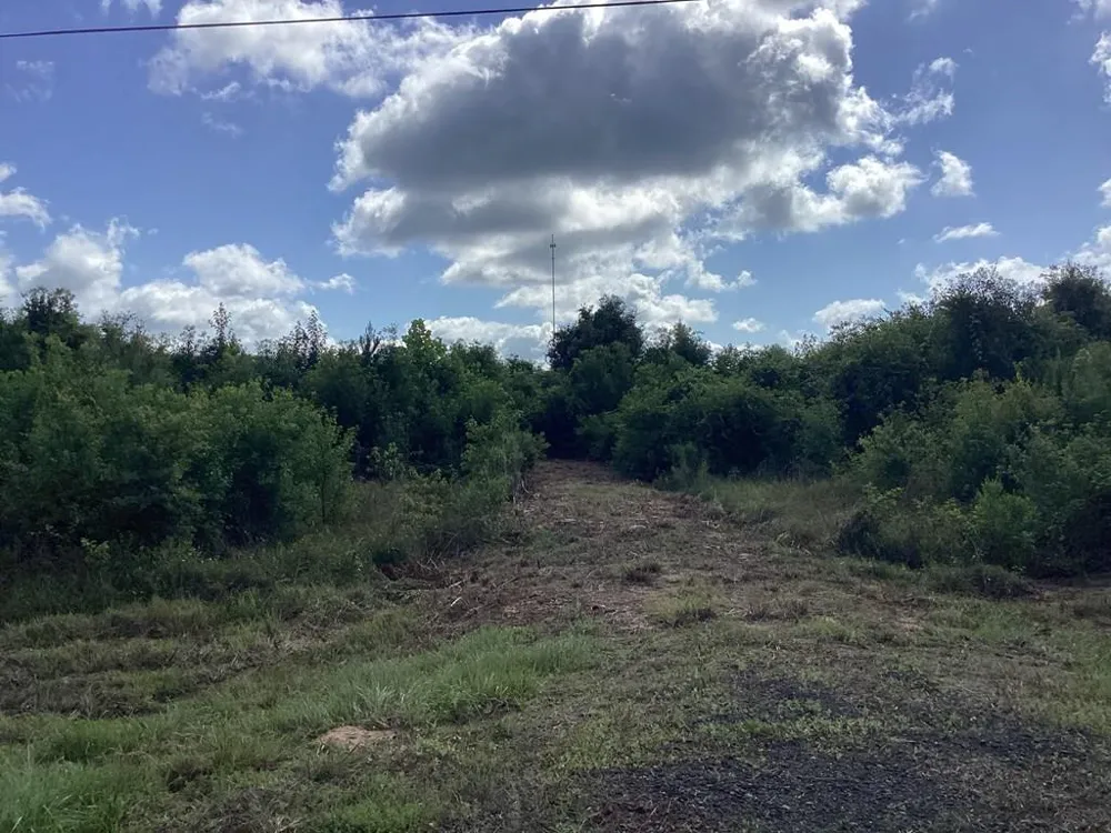 1900 E E Hwy 190 Newton, TX 75966