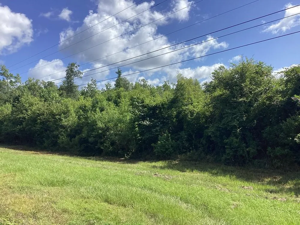 1900 E E Hwy 190 Newton, TX 75966