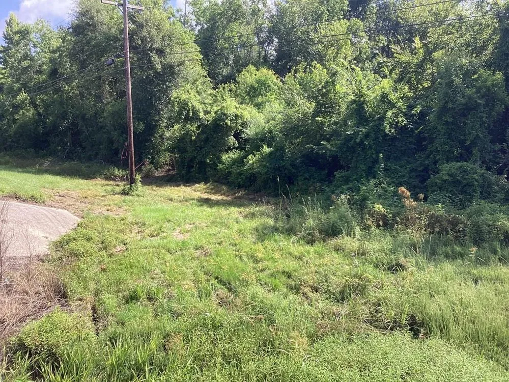 1900 E E Hwy 190 Newton, TX 75966