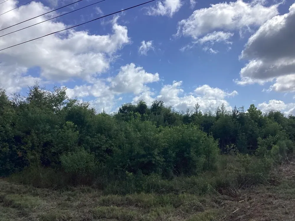 1900 E E Hwy 190 Newton, TX 75966