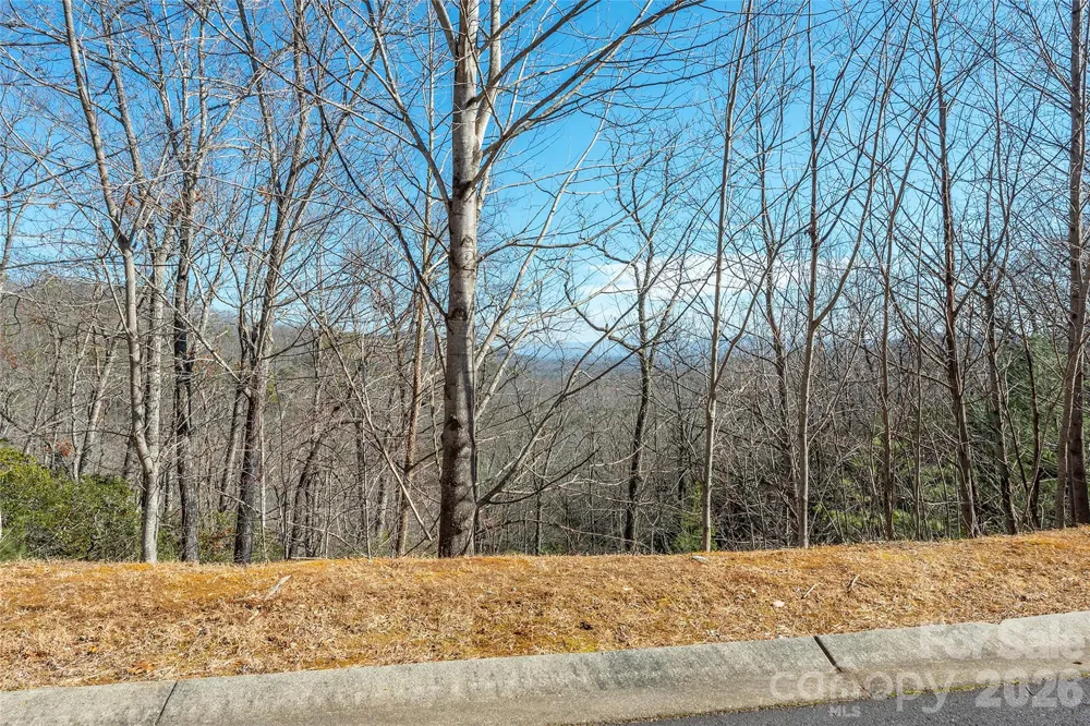 99999 Mills River Way #108 Horse Shoe, NC 28742
