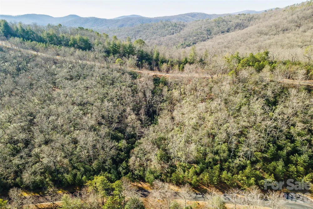 99999 Mills River Way #108 Horse Shoe, NC 28742
