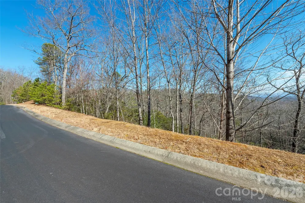 99999 Mills River Way #108 Horse Shoe, NC 28742