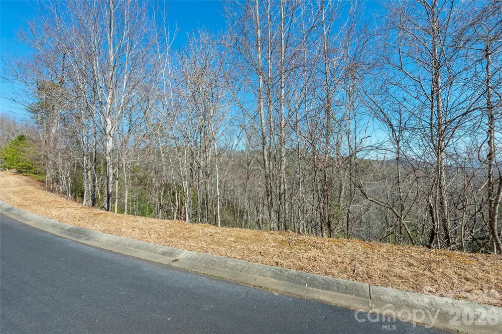 99999 Mills River Way #108 Horse Shoe, NC 28742