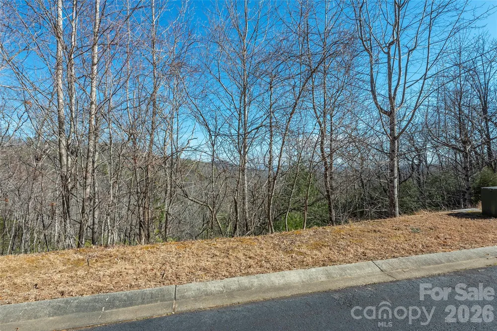 99999 Mills River Way #108 Horse Shoe, NC 28742