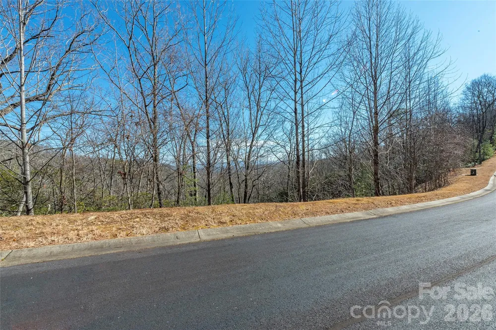 99999 Mills River Way #108 Horse Shoe, NC 28742