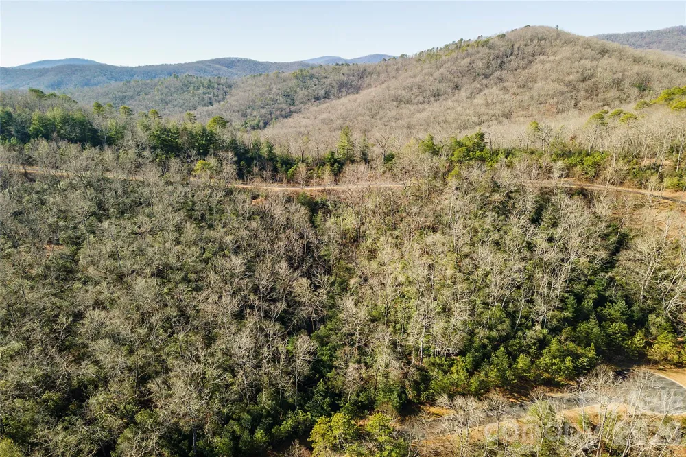 99999 Mills River Way #108 Horse Shoe, NC 28742