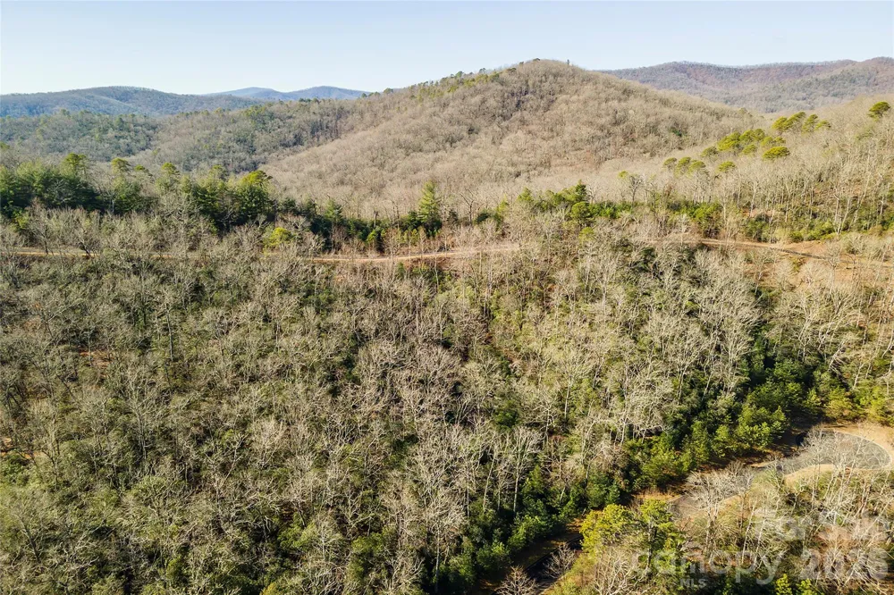 99999 Mills River Way #108 Horse Shoe, NC 28742
