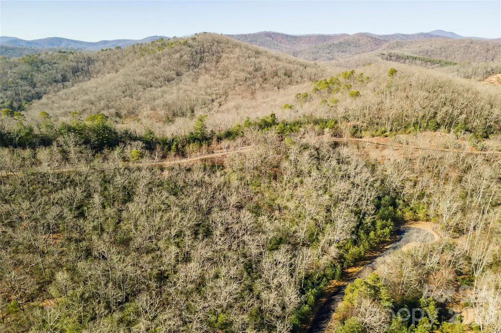 99999 Mills River Way #108 Horse Shoe, NC 28742