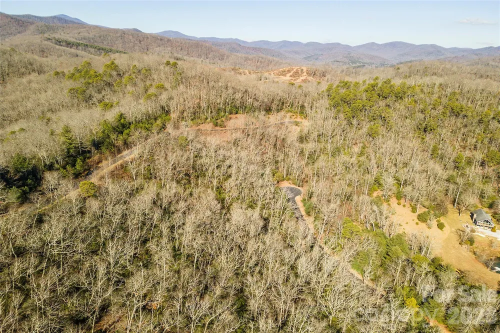 99999 Mills River Way #108 Horse Shoe, NC 28742